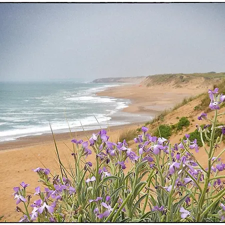La Fleur De L Ile